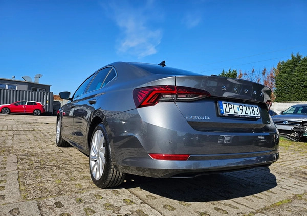Skoda Octavia cena 134999 przebieg: 7170, rok produkcji 2023 z Brwinów małe 301